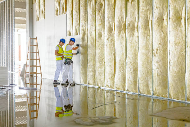 Best Types of Insulation in Duvall, WA